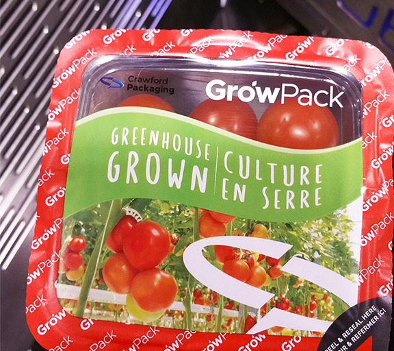 Tomates rojos y frescos puestos en un recipiente sellado con el logotipo de Crawford Packaging