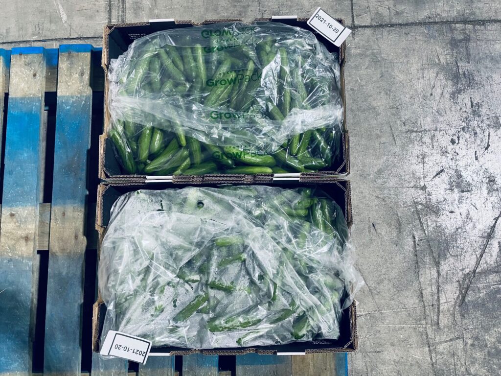 Revestimientos de MAP growPack