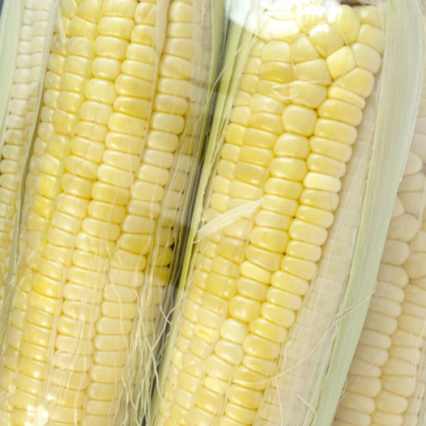 Mazorcas de maíz envueltas en envoltura retráctil se apilan una encima de la otra