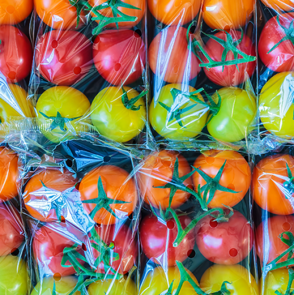 las bandejas de tomates rojos, naranjas y amarillos envueltos en plástico puestos uno al lado de la otro en dos filas
